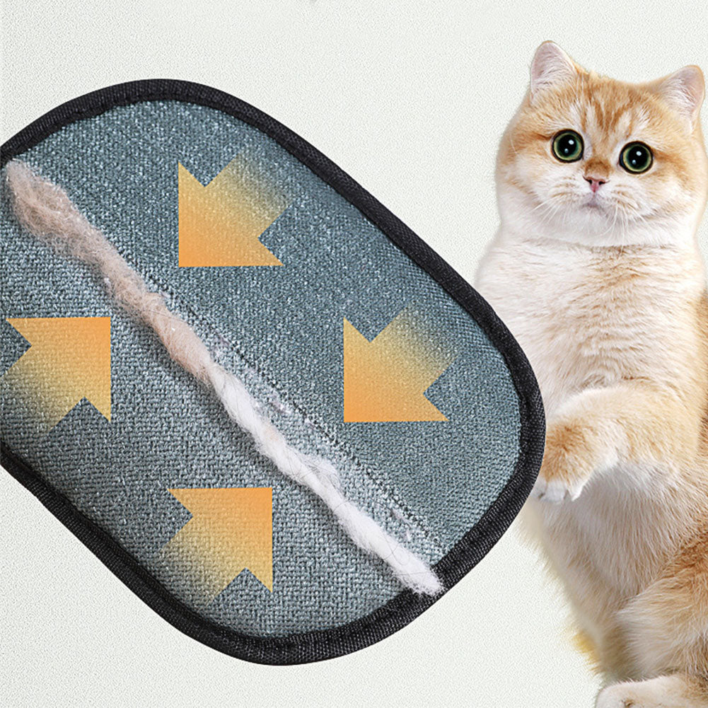 Remove Pet Hair in Seconds – No Sticky Rolls, No Mess
