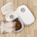 Automatic Pet Feeder with Timer – Food Dispenser for Cats & Dogs