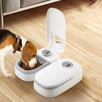 Automatic Pet Feeder with Timer – Food Dispenser for Cats & Dogs